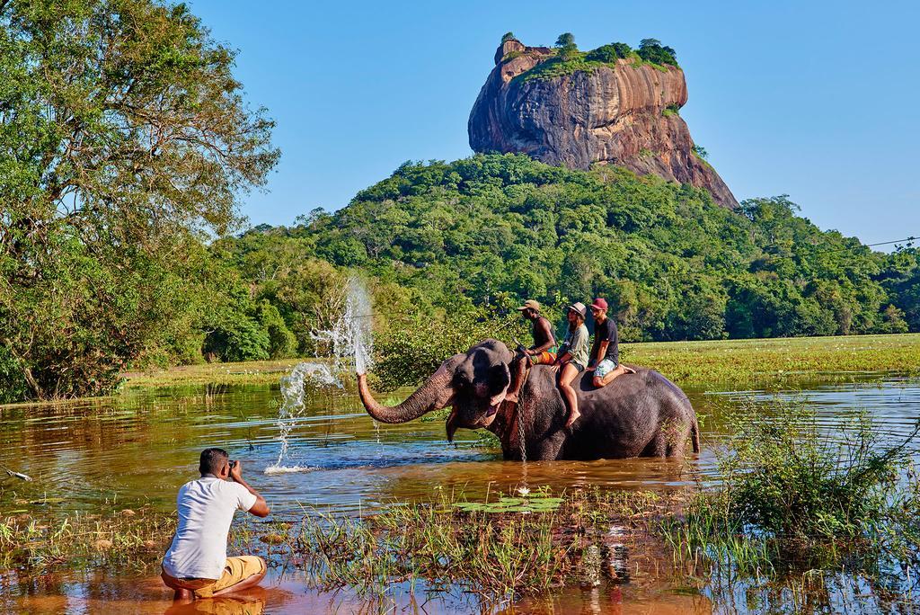The Courtyard Villa Sigiriya Exterior foto